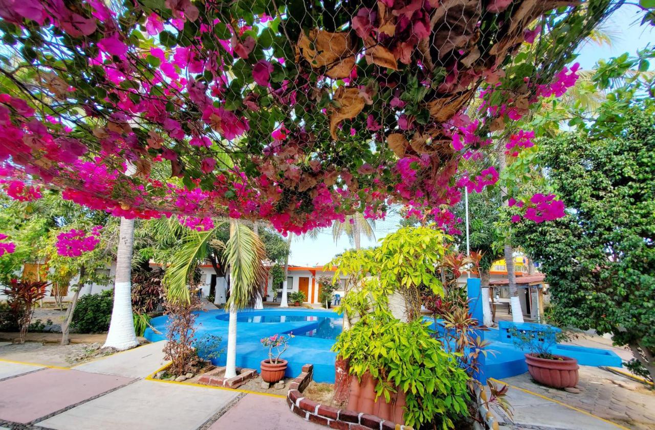 Hotel Oasis Melaque 圣帕特里西奥梅拉克 外观 照片
