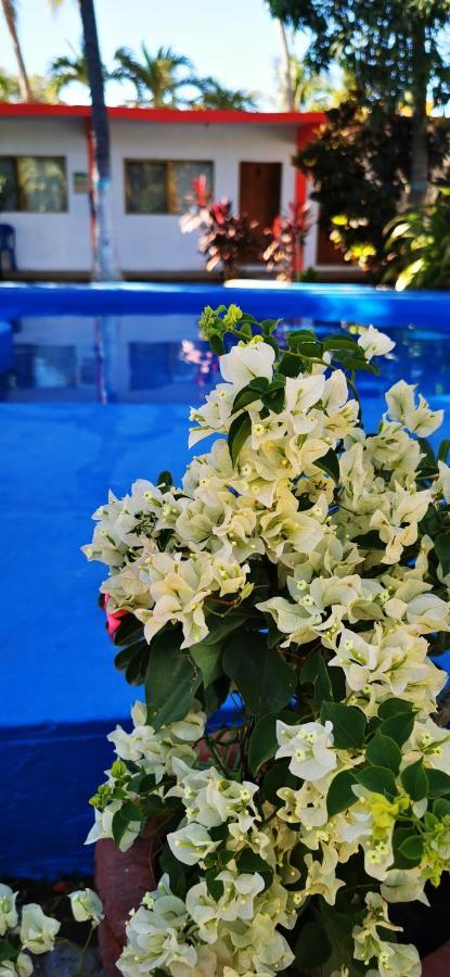 Hotel Oasis Melaque 圣帕特里西奥梅拉克 外观 照片